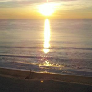 Meet your Posher, Penny